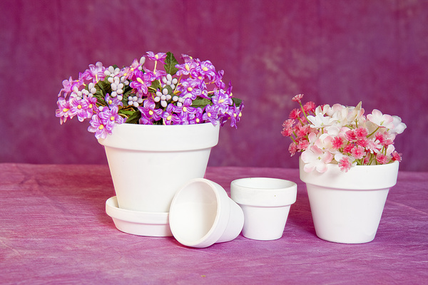 Potted flowers HD picture 02