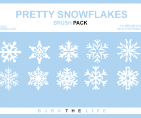 Pretty Snowflakes photoshop brushes
