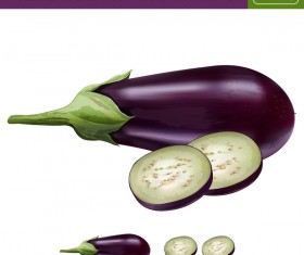 Purple eggplant realistic vectors
