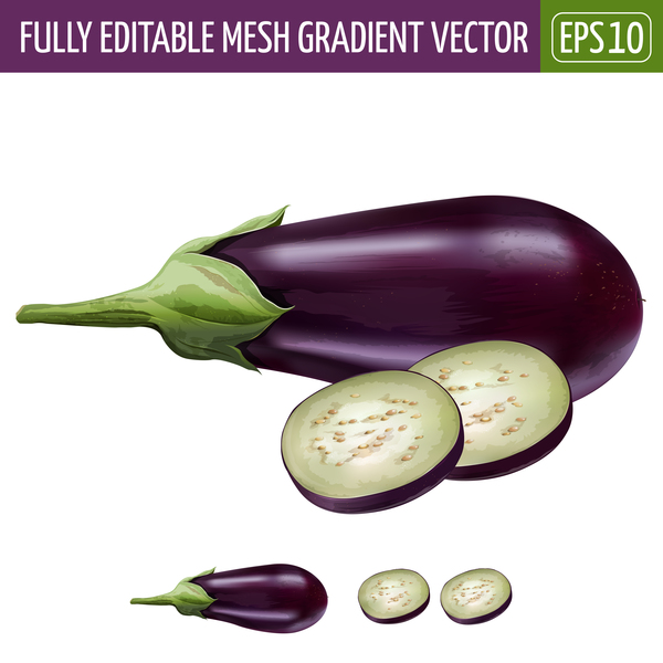 Purple eggplant realistic vectors