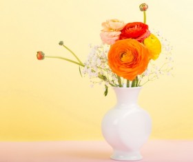 Ranunculus Floral arrangements Stock Photo