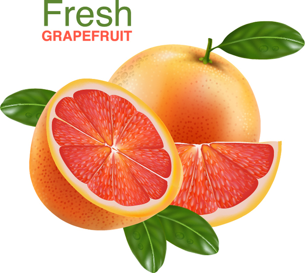 Realistic grapefruit vector material 03