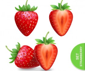 Realistic strawberry illustration vectors