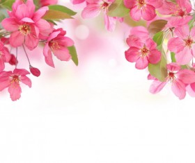 Red flowers background Stock Photo