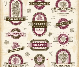 Retro grapes labels set vector