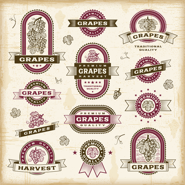 Retro grapes labels set vector