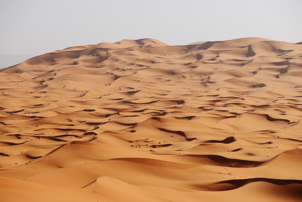 Sand dunes of Sahara desert Stock Photo 01