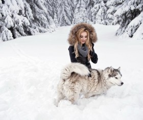 Snow female pet dog Stock Photo