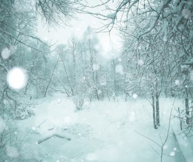 Snowy winter landscape HD picture 02