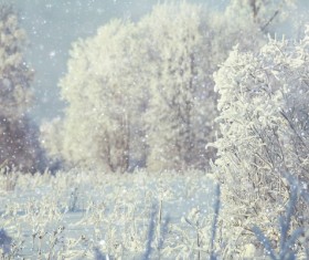 Snowy winter landscape HD picture 04