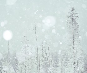 Snowy winter landscape HD picture 05