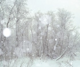 Snowy winter landscape HD picture 06