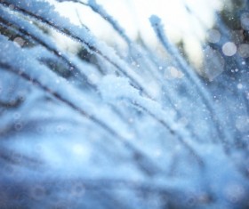 Snowy winter landscape HD picture 08