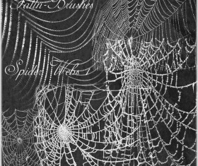 Spider Web photoshop brushes
