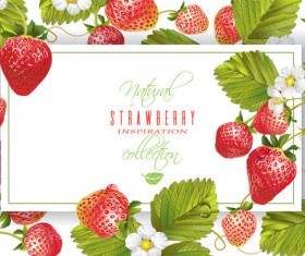 Strawberry frame vector material