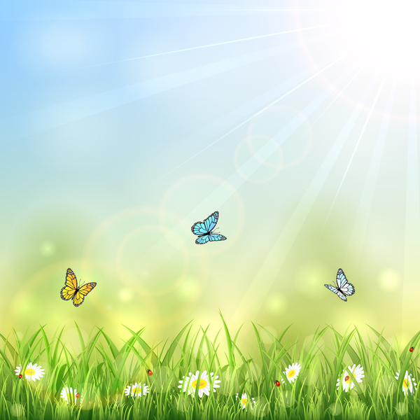 Summer background with butterflies vector material
