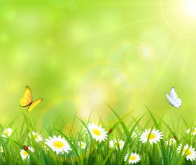 Summer background with grass and flowers vector