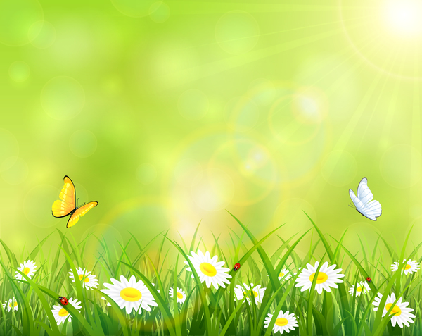 Summer background with grass and flowers vector