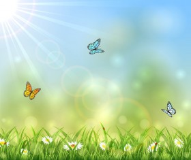 Sunny background with butterflies design vector