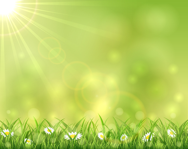 Sunny background with grass and flowers vectors material