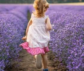 The little girl running on lavender farmland Stock Photo 02