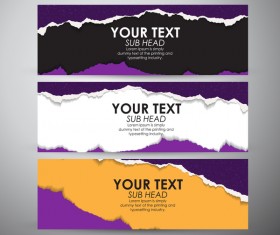Torn paper banner set vector 01