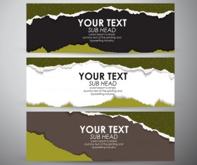 Torn paper banner set vector 03