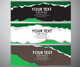 Torn paper banner set vector 04