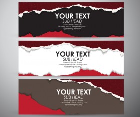 Torn paper banner set vector 06