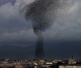 Tornado hazards Stock Photo 04
