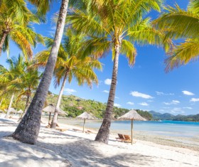 Tropical Beach Stock Photo 01