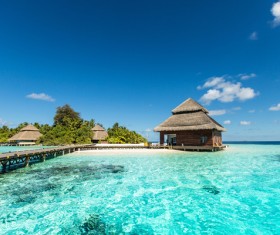 Tropical Beach Stock Photo 05