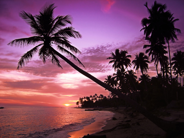 Tropical beach sunset HD picture