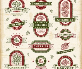 Vintage cherry labels set vector