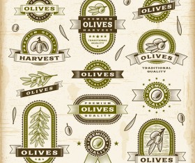 Vintage olive labels set vector