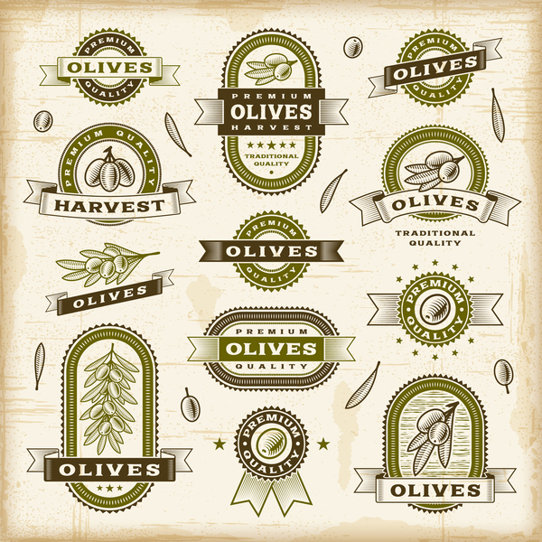 Vintage olive labels set vector