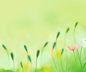 Warm background Stock Photo