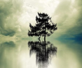 Water reflection in the water Stock Photo