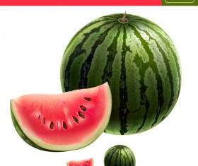 Watermelon with slice realistic vectors