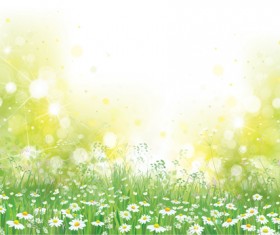 White daisies with spring backgrounds vector set 02