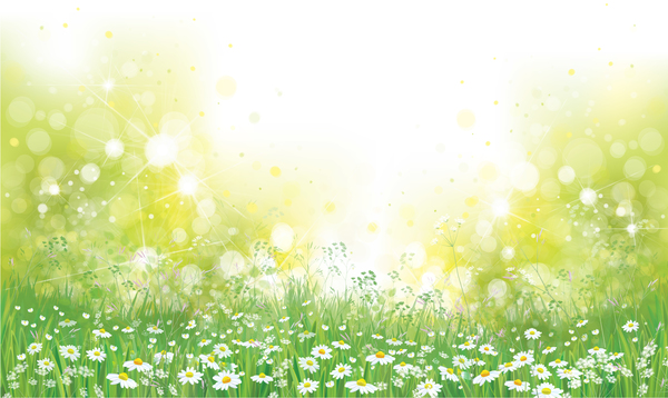White daisies with spring backgrounds vector set 02