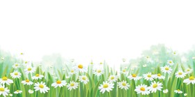 White daisies with spring backgrounds vector set 04