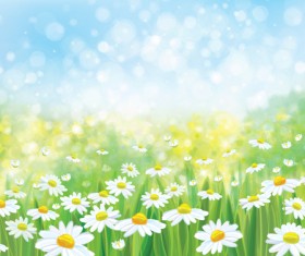 White daisies with spring backgrounds vector set 05