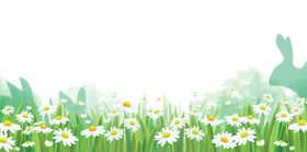 White daisies with spring backgrounds vector set 06