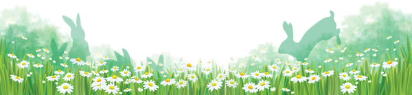 White daisies with spring backgrounds vector set 06