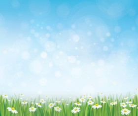 White daisies with spring backgrounds vector set 07