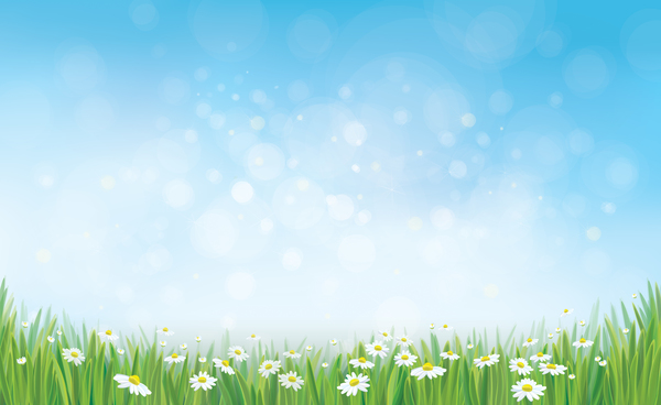 White daisies with spring backgrounds vector set 07