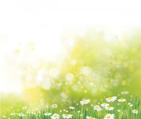 White daisies with spring backgrounds vector set 08