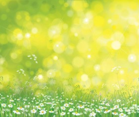 White daisies with spring backgrounds vector set 09