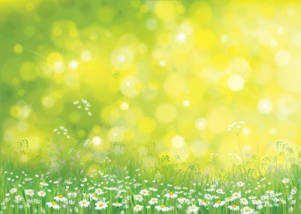 White daisies with spring backgrounds vector set 09